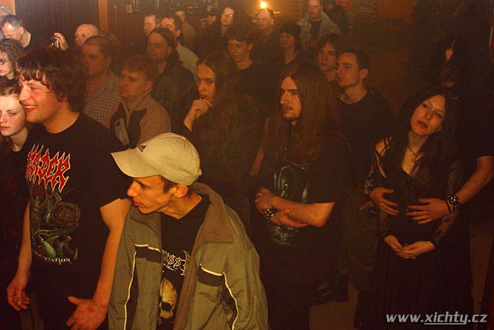 Root, Euthanasia, Greedy Invalid