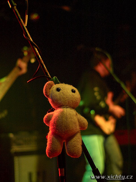 Photo 11
