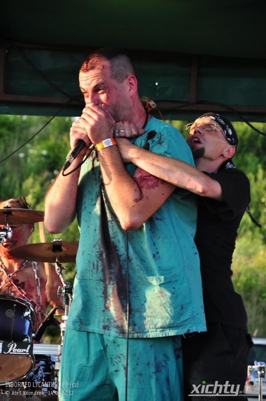 Photo 45