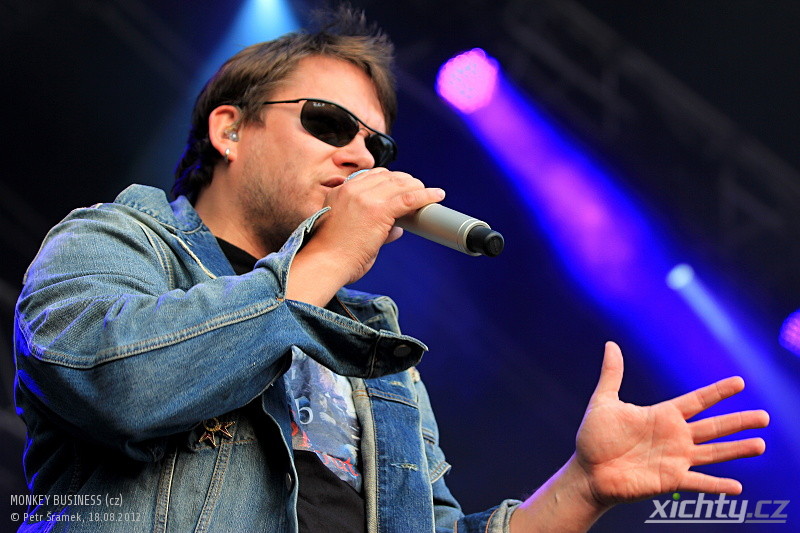 České Hrady 2012 / Hradec nad Moravicí