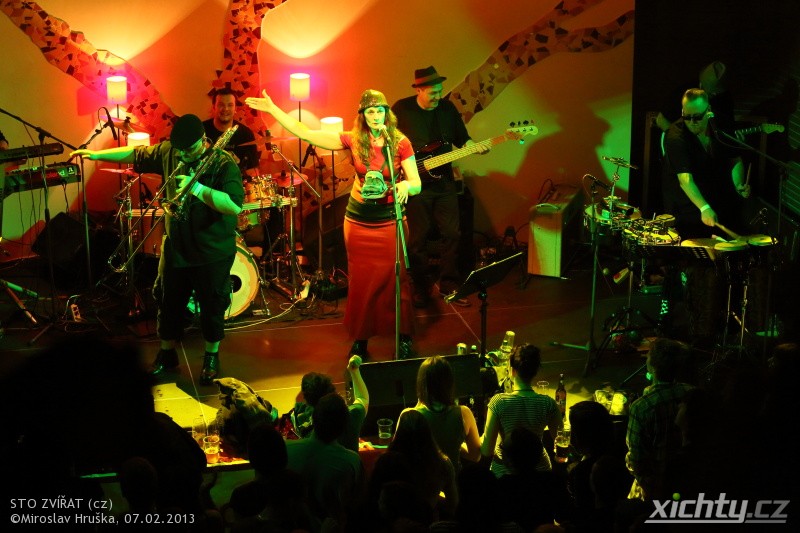 Sto Zvířat 2013 / Plzeň