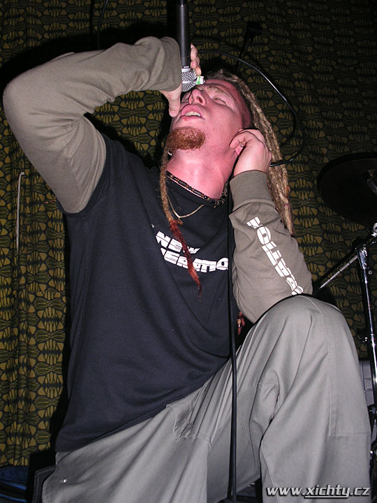 Photo 42