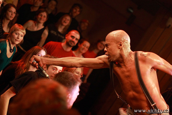 Fishbone, Pub Animals