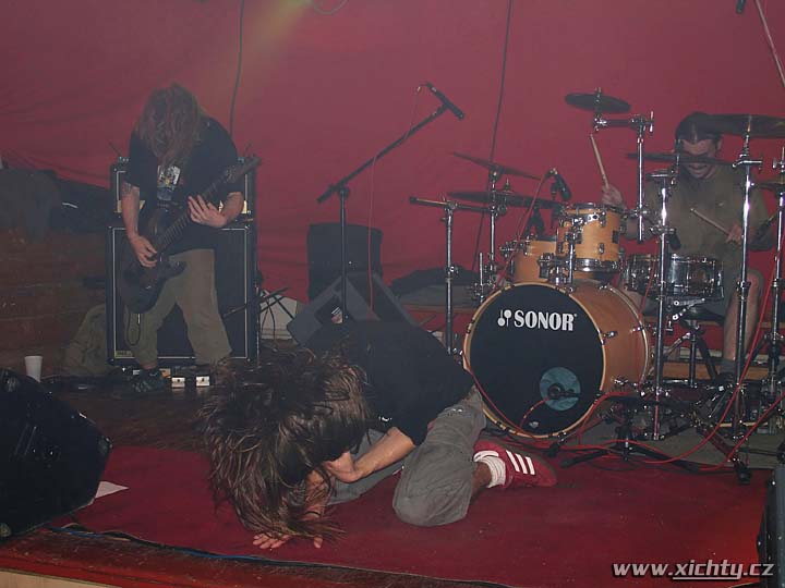 Photo 28