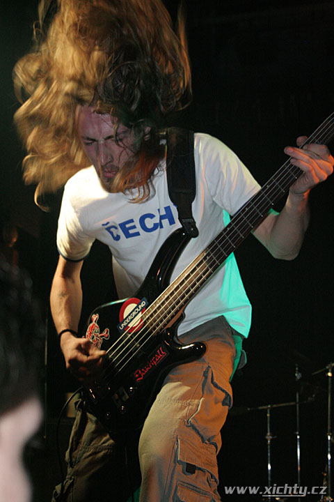 Photo 46