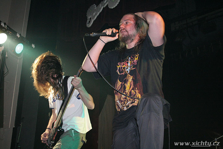 Photo 41